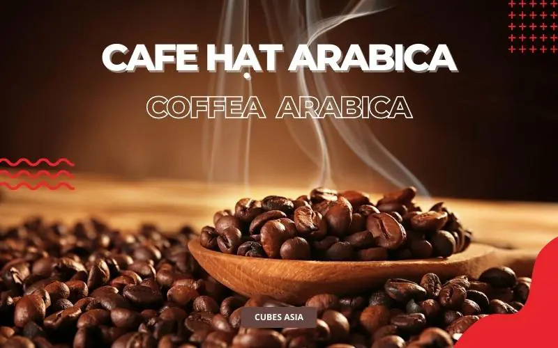 Cafe Arabica là gì? Nguồn gốc hạt cafe Arabica và các biến thể Arabica -  Cubes Asia
