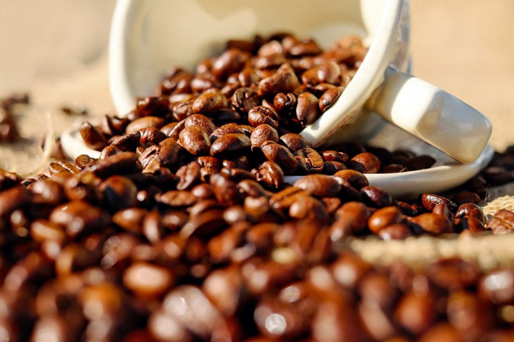 An image that showcases a close-up of Maragogype coffee beans, displaying their rare and oversized characteristic